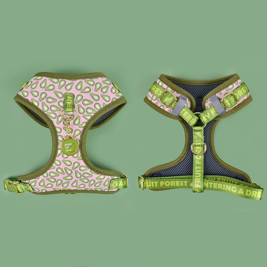 StyleWalk Bloom Series Dog Harness & Leash Set - Pink Avocado