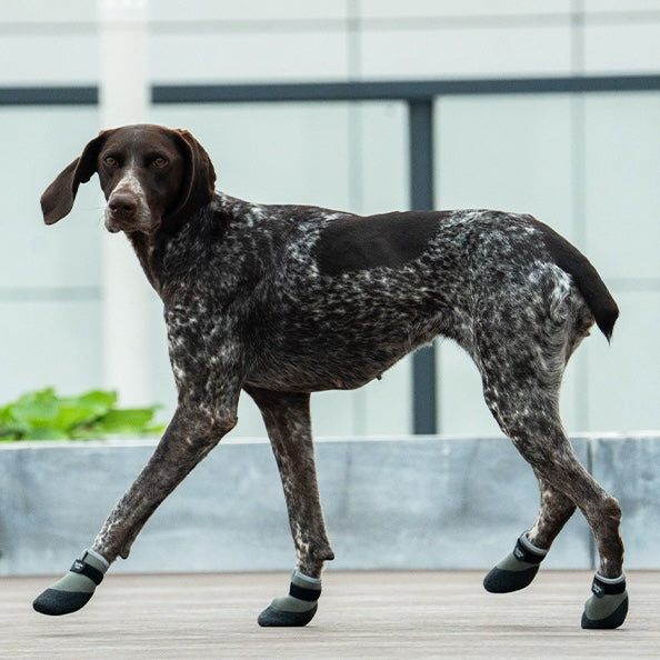 PawTech City Dog Boots - Amber