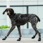 PawTech City Dog Boots - Amber