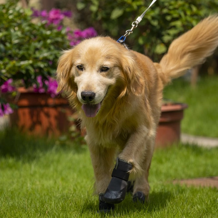 PawTech Active Dog Boots - Mustard