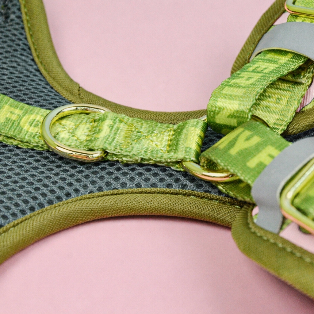StyleWalk Bloom Series Dog Harness & Leash Set - Pink Avocado