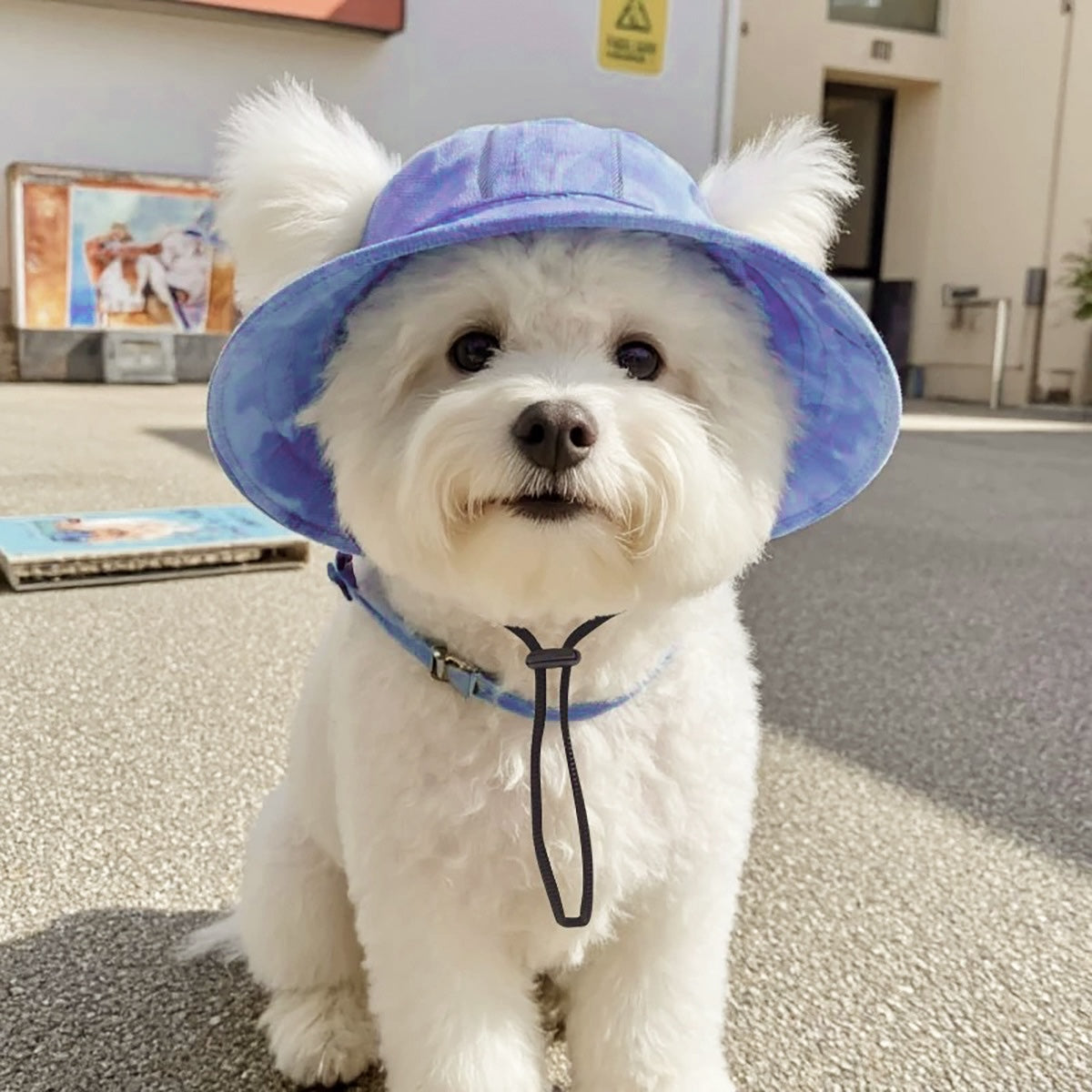 BreezeFit Dog Bucket Hat