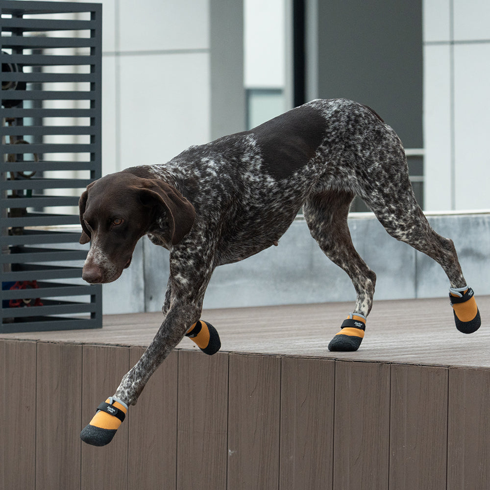 PawTech City Dog Boots - Amber