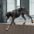 PawTech City Dog Boots - Amber