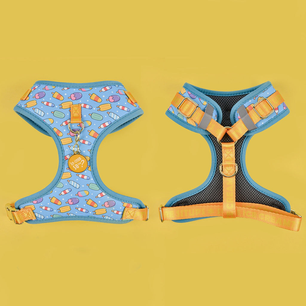StyleWalk Bloom Series Dog Harness & Leash Set - Blue Ice-cream