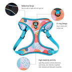 StyleWalk AirLite Dog 3-Piece Harness Set