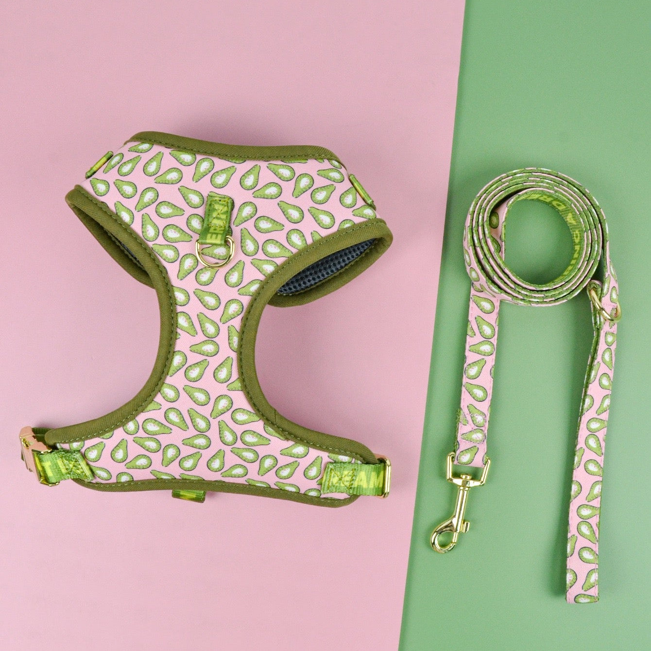 StyleWalk Bloom Series Dog Harness & Leash Set