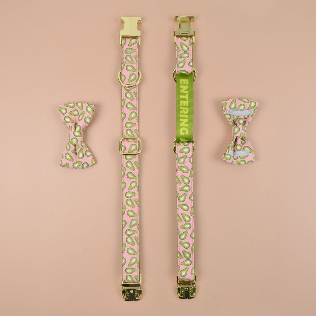 StyleWalk Bloom Series Dog Collar & Leash Set - Expresso
