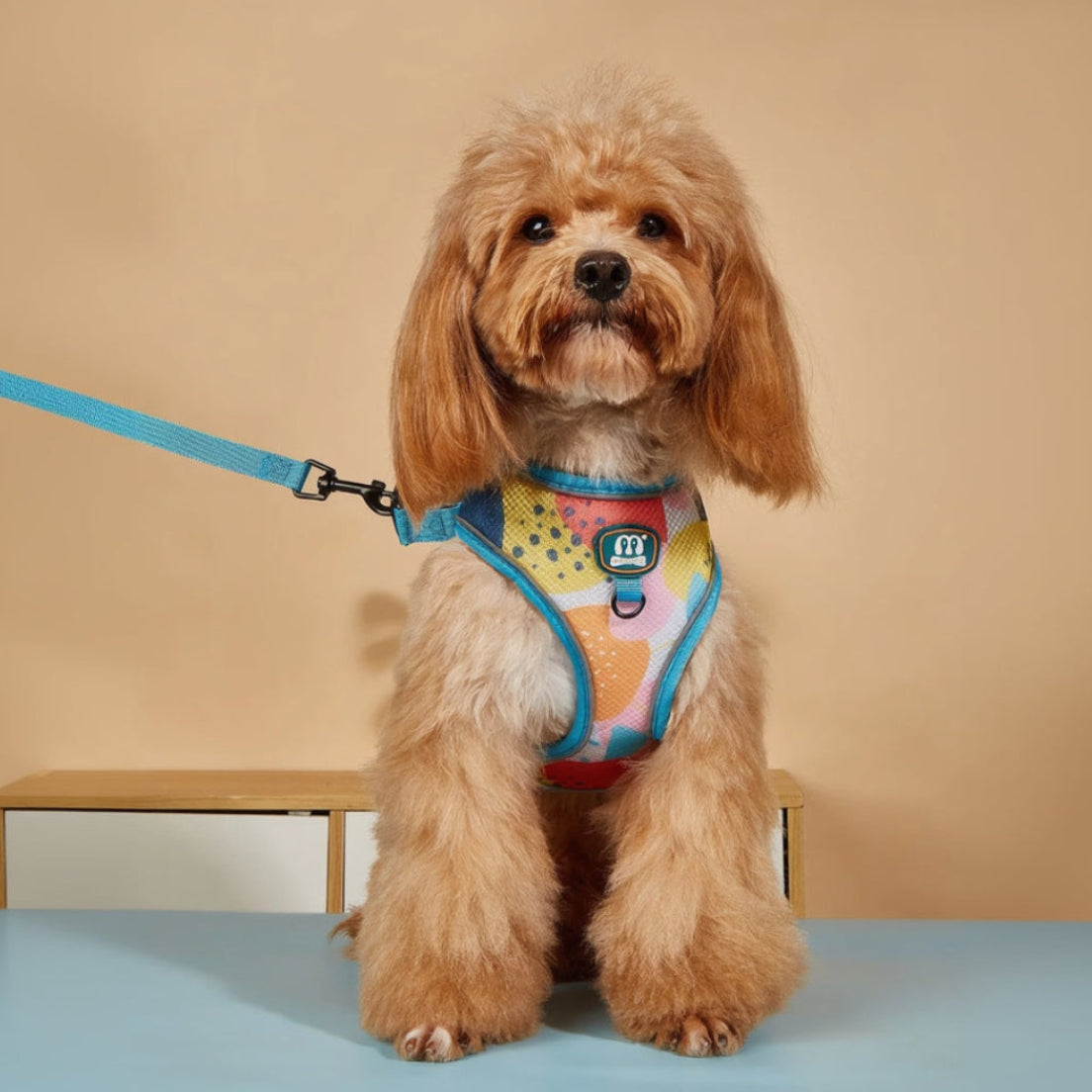 StyleWalk AirLite Dog 3-Piece Harness Set