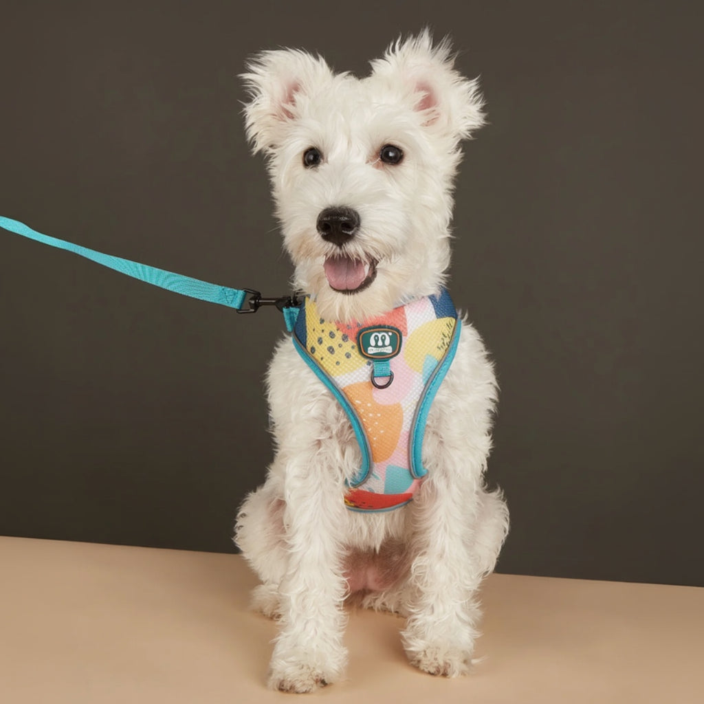 StyleWalk AirLite Dog 3-Piece Harness Set