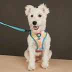 StyleWalk AirLite Dog 3-Piece Harness Set