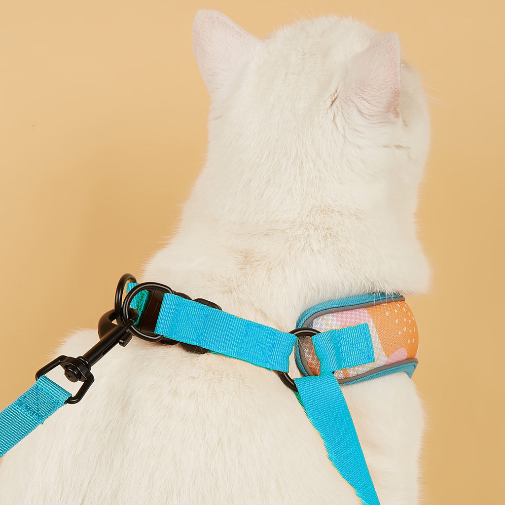 StyleWalk AirLite Dog 3-Piece Harness Set