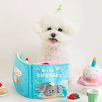 LittleCompanion Snuffle Book