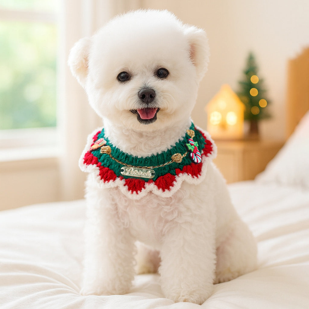 CozyCore Holiday Series Knit Collar