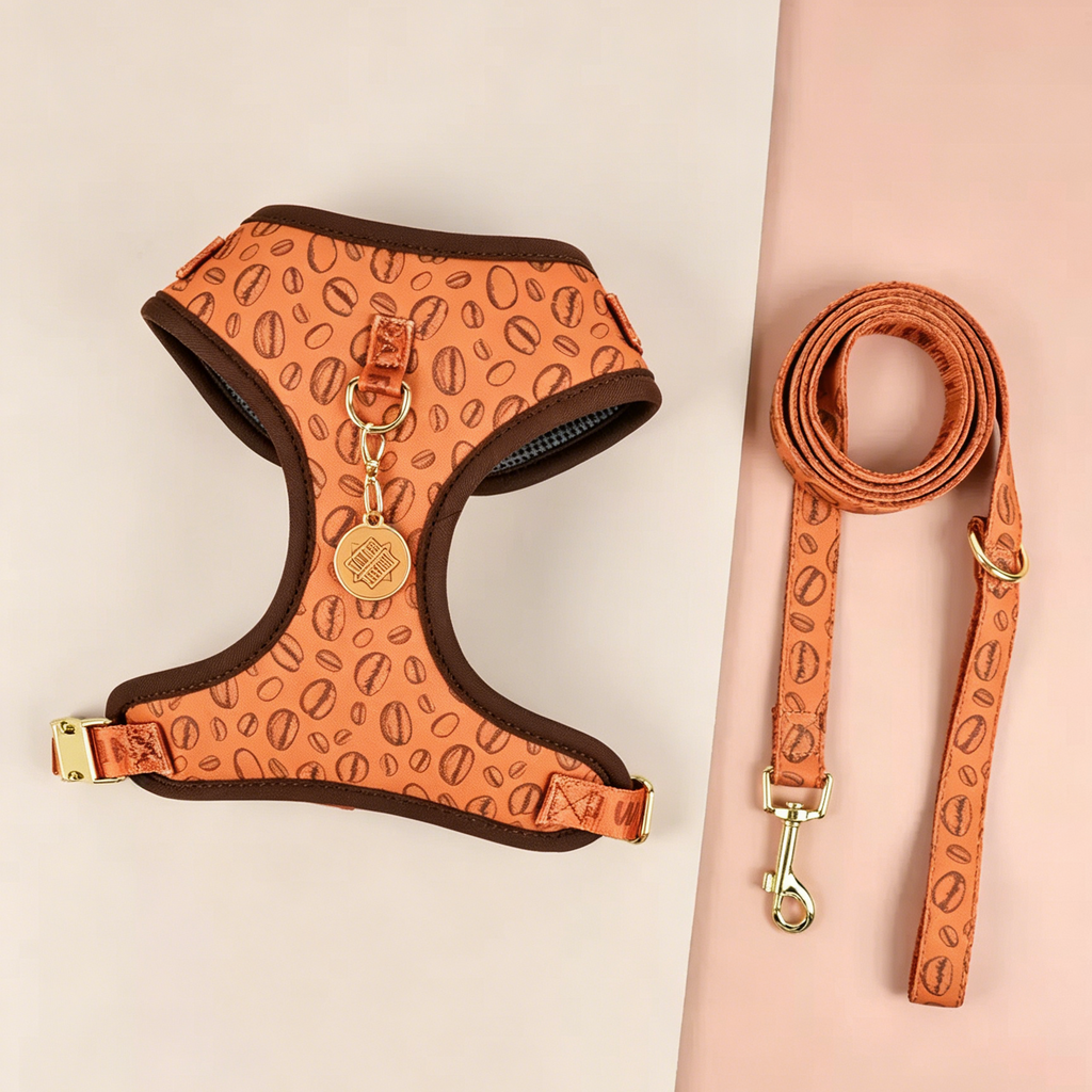 StyleWalk Bloom Series Dog Harness & Leash Set - Expresso