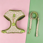 StyleWalk Bloom Series Dog Harness & Leash Set - Pink Avocado